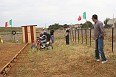VAR IE (7)
